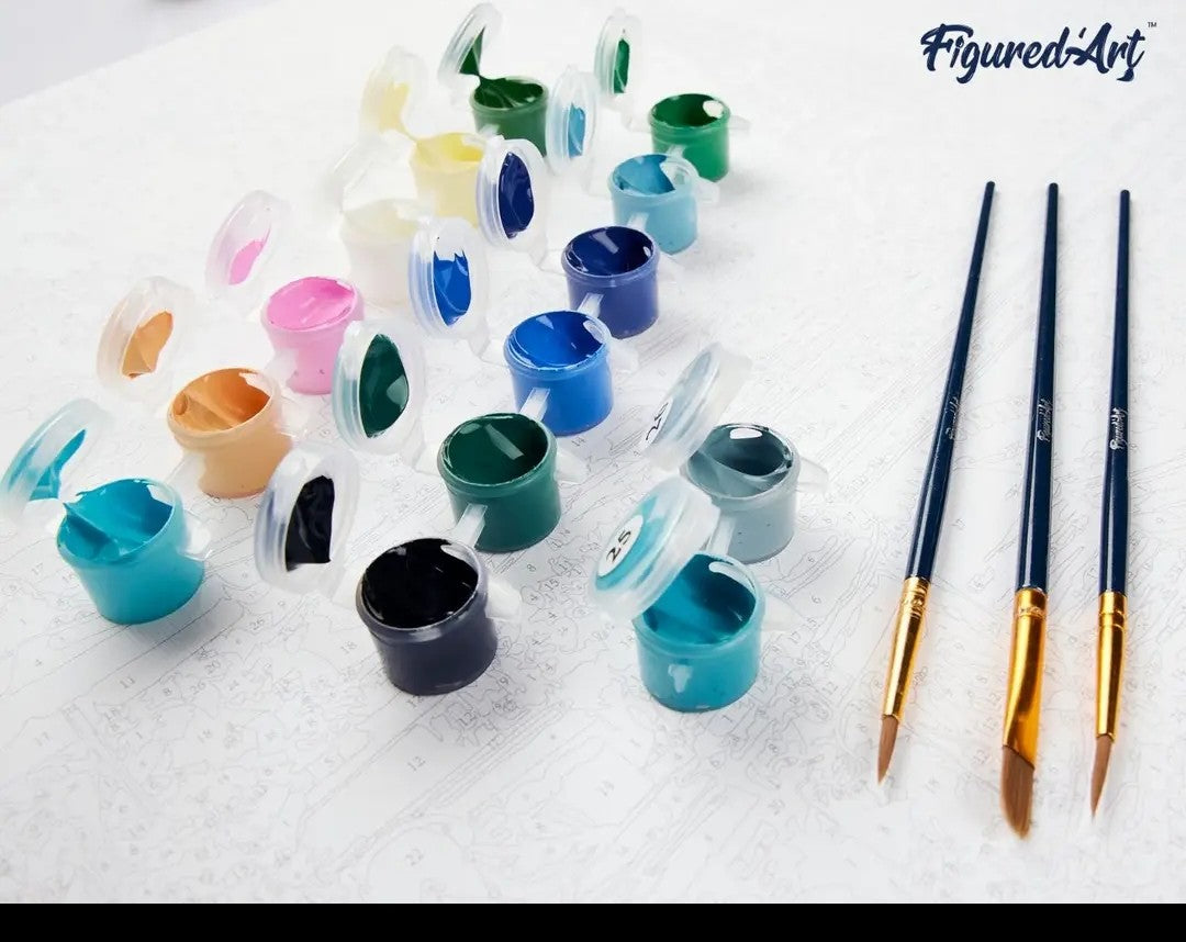 Paint by numbers flowers & birds watercolour