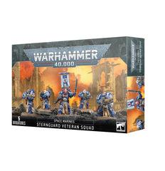 Space Marines: Sternguard squad